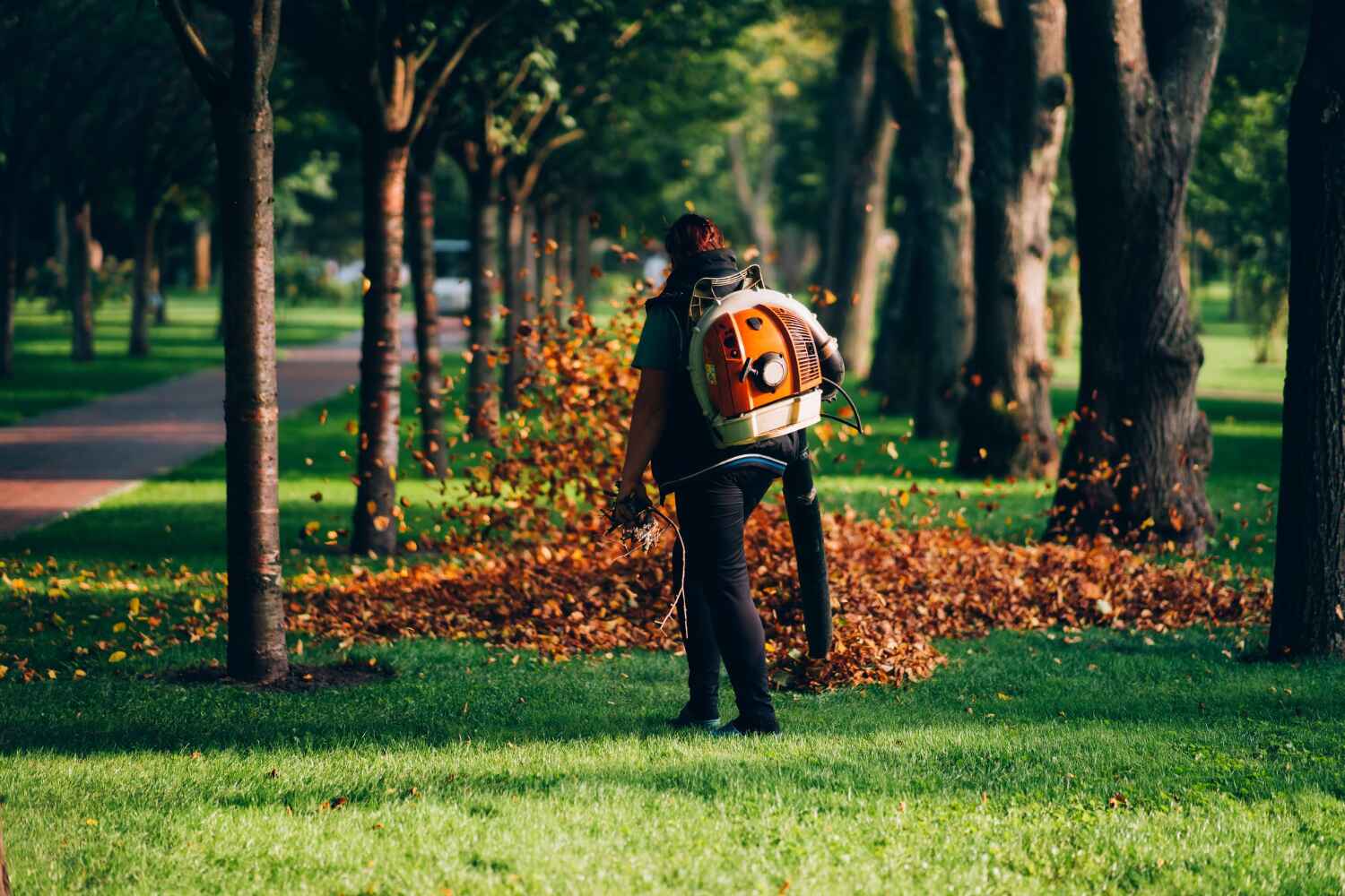 Reliable Butler, MO Tree Service Solutions